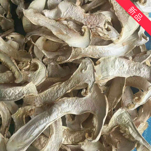 ���׾� ���׾�ȫ�и�Ƭ �ɿ�Ģ ��ަ ʳ�þ����l ����خa���l