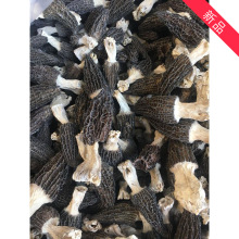 带柄羊肚菌 大个头 干货  产地直销 云南特产 食用菌批发 种植货