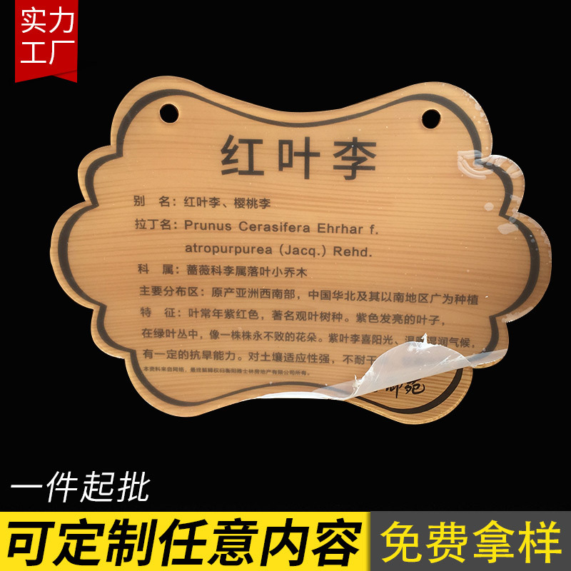 厂家供应各样式亚克力古树木介绍铭牌 花草爱护标志创意木纹树牌