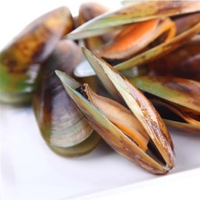 全壳冷冻青口贝贻贝青口贝海贝海鲜水产淡菜海虹2斤*10包/件