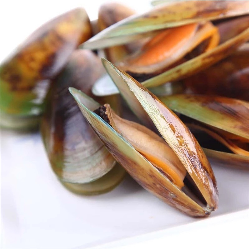 全壳冷冻青口贝贻贝青口贝海贝海鲜水产淡菜海虹2斤*10包/件