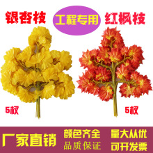 y~֦t~٘~̻cƵb֦Gֲ