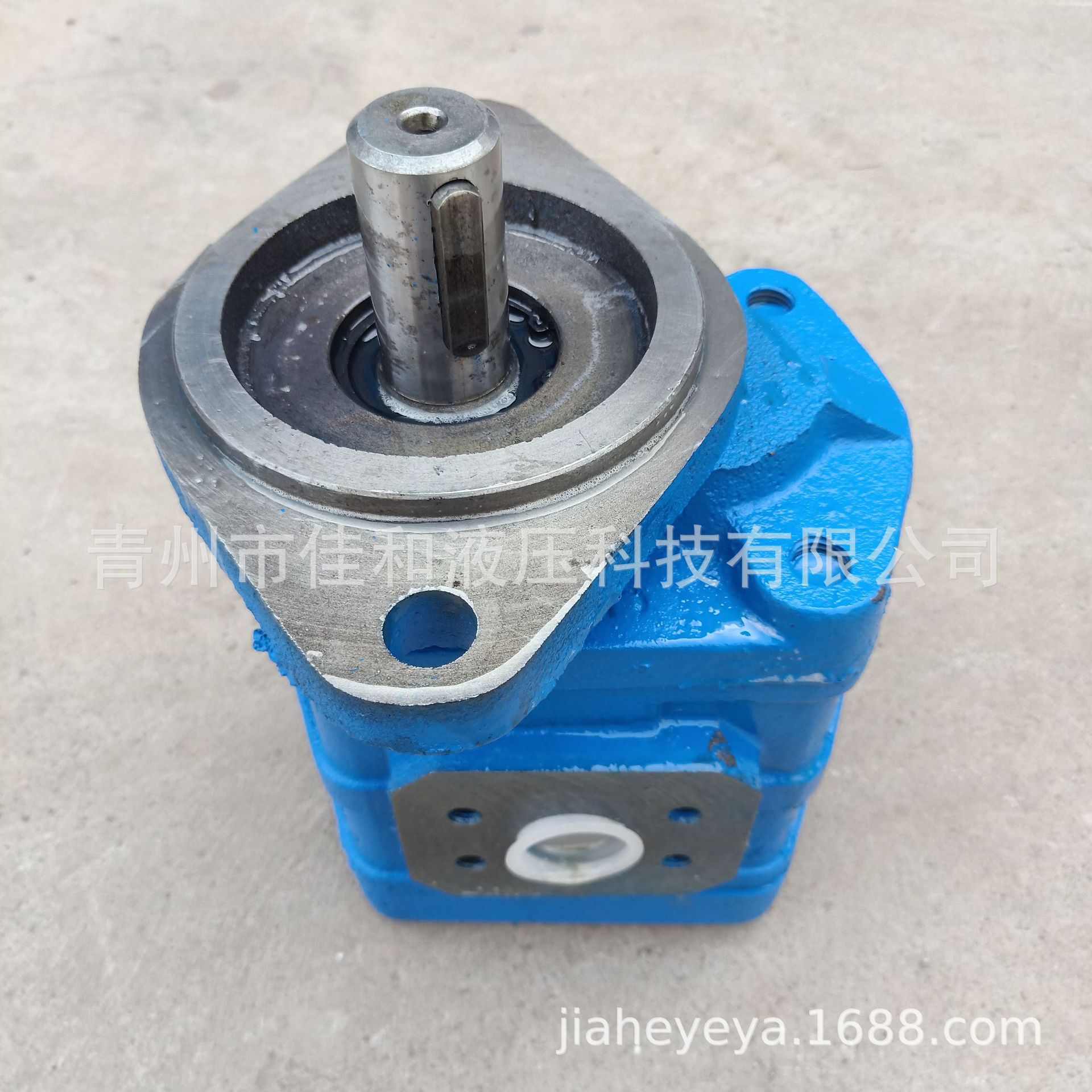 供应 四川长江 高压齿轮油泵 CBY3063-172L