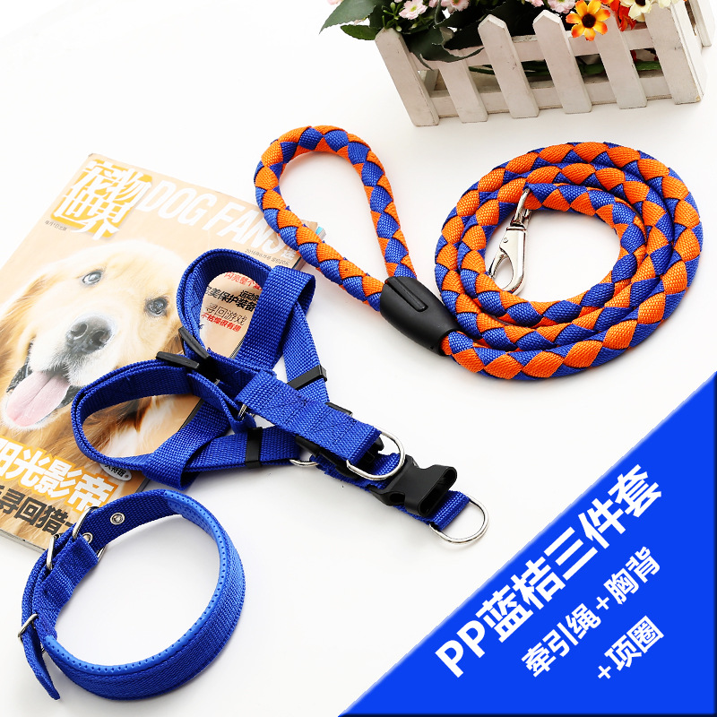 오렌지 블루 3 피스 세트