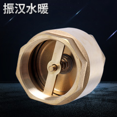 All-copper thickened spring check valve vertical one-way water pipe check valve 4 minutes to 4 inches water pump water pipe stop valve
