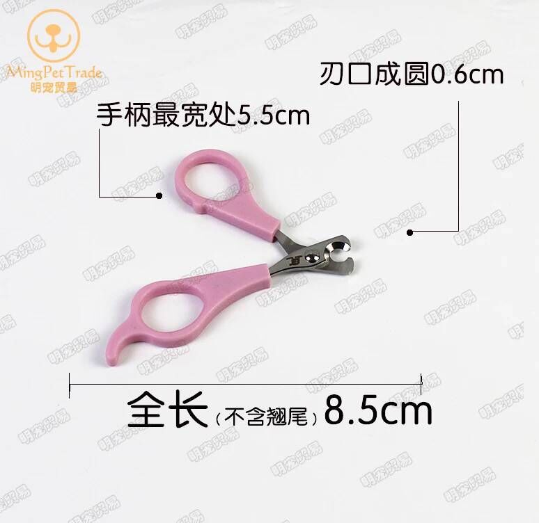 고양이를 위한 핑크