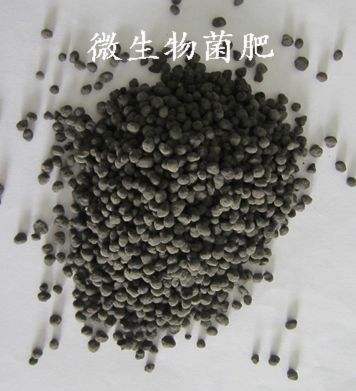 广西生物有机肥批发 广西有机肥报价 颗粒生物有机肥