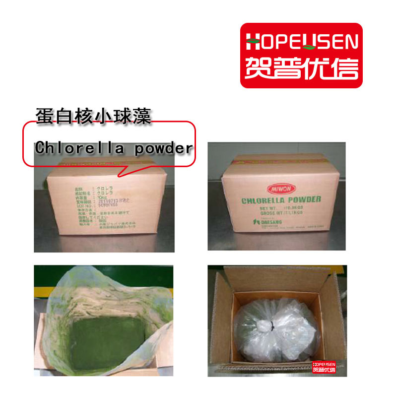 小球藻粉 蛋白核小球藻 绿藻目 小球藻破壁 新资源食品 韩国 国产