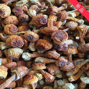 �����׾����׹����������l����خa��؛���|��