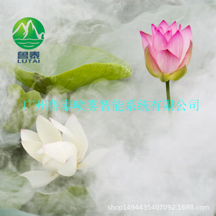 �������F�쾰ϵ�y ɏ���؇��F�쾰 �������F�������m����