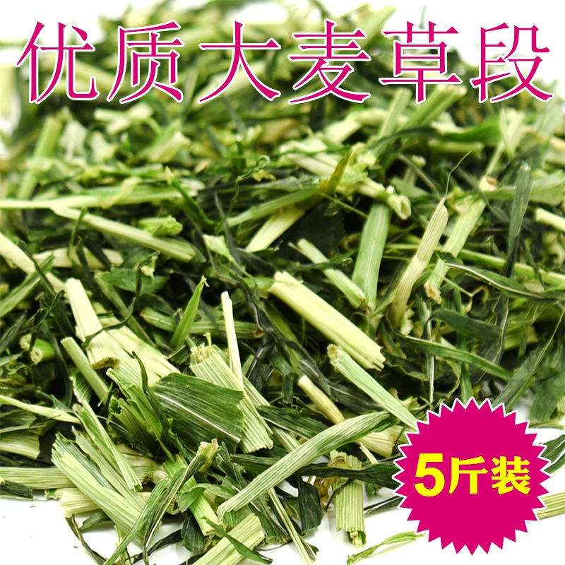 Обезвоженный Сегмент Рассады Ячменя Сегмент Травы Ячменя Пакет Ruoye 2,5 кг
