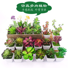 仿真多肉植物小盆栽 手感软胶带盆套装家居装饰 仿真绿植迷你盆