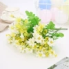 White and green