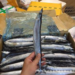 ����ﵶ�~ 20��/�� 1̖�ﵶ�~ ����ʳ���ﵶ�~ ���~