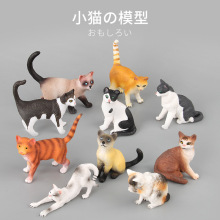 �����㶯��è��ģ����� ���涯��ģ�Ͷ���èСè�������ģ��