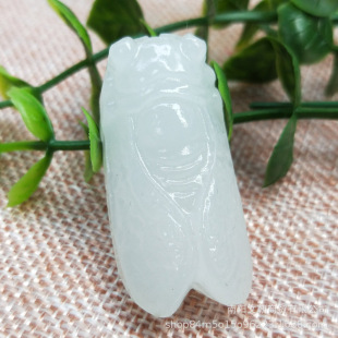 ���l�������������s����֪������Ů�������ؔ�؛Դ���N�YƷ