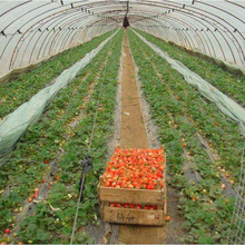 农地膜 大棚膜黑白膜银黑膜黑白相间膜1米2米3米4米片膜生产厂家