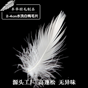 ���S��ֱ�N��2-4cmˮϴ�����qƬ�|�����C��qɳ�l���|�������