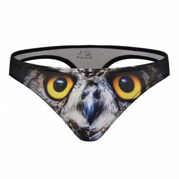 Black owl