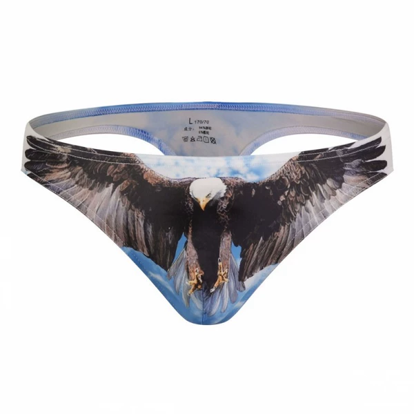 Blue Sky Eagle