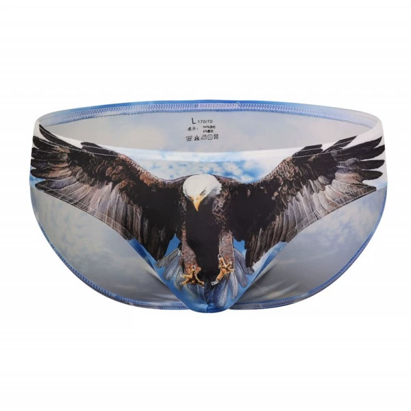 Blue Sky Eagle