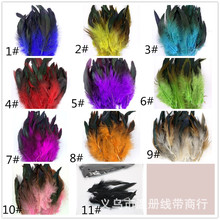 �؃���ë���uë؈������߼������W����pɫ��Ӿ50��һ�׬F؛