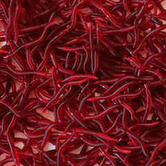 Supplier of Bionic Earthworm Lures - 4cm Fishing Bait Red Worm Simulation Maggot Soft Baits - 100 Pieces Per Pack