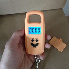 電子稱新款電子葫蘆秤迷你手提秤電子稱便攜式老人秤50kg快遞秤