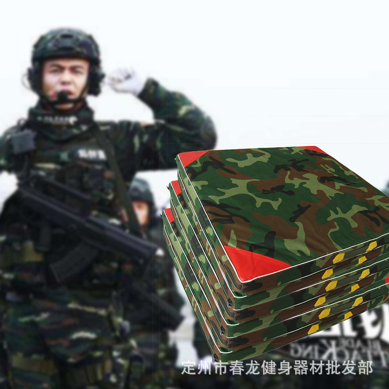 Adult Mat Dance Mat Folding Whole Gymnastics Mat Folding Sit-Up Mat Wrestling Mat Sports Protector