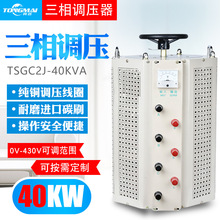 TSGC2-40KVA三相交流380V调压器0-380V/500V/600V/660V/690V/750V