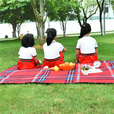 Explosive money ebay Amazon wish outdoors Camp waterproof Fleece Aluminum Picnic mat goods in stock thickening Blanket