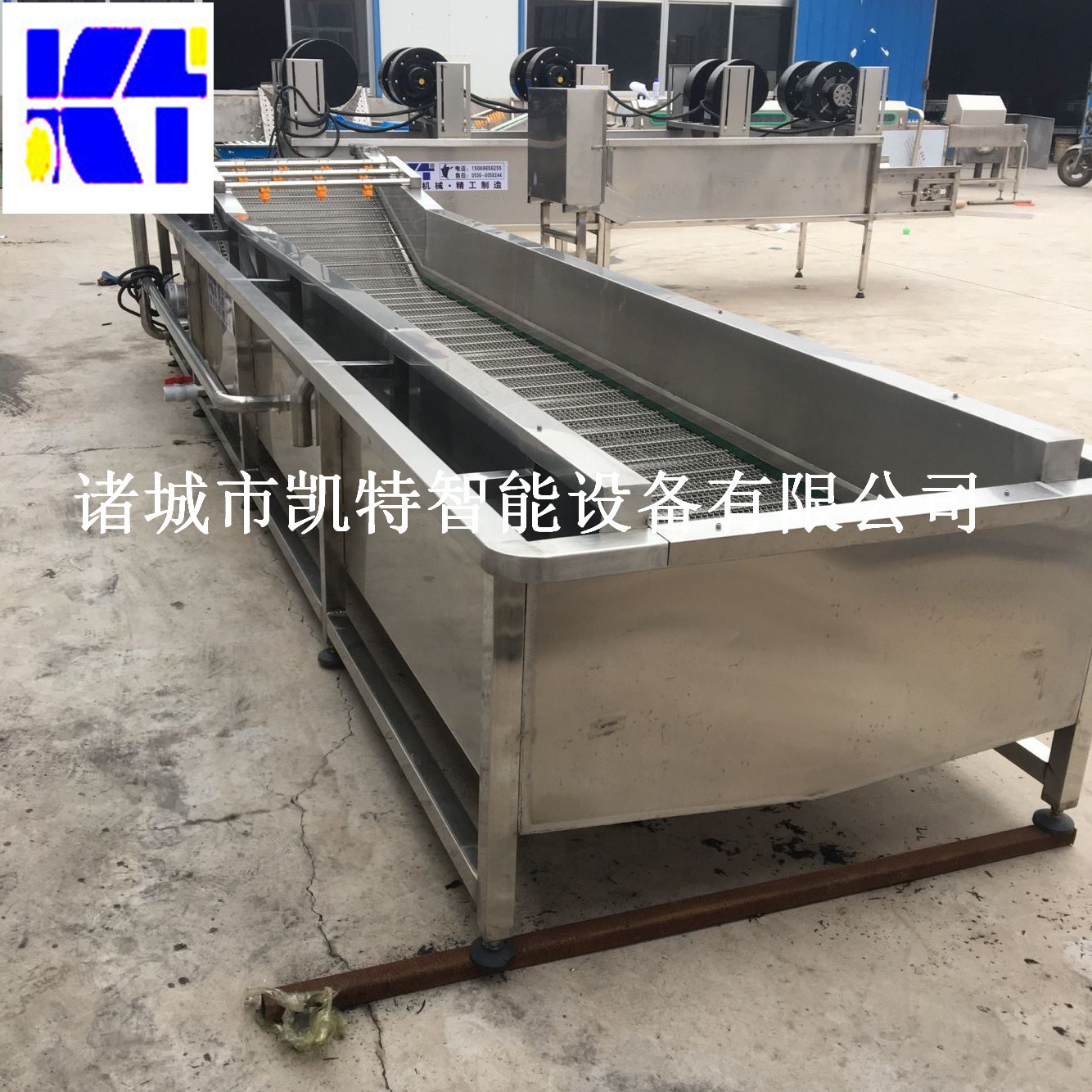 净菜加工流水线大枣银耳清洗机 果蔬清洗机流水线制定气泡清洗机