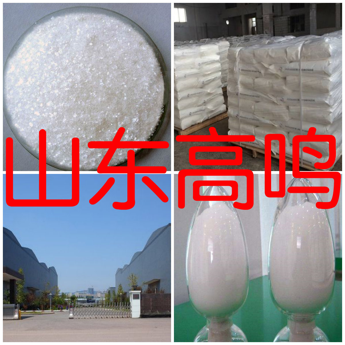 对氯苯甲酸/4-氯苯甲酸  厂家直供20年生产经验山东浙江福建江苏