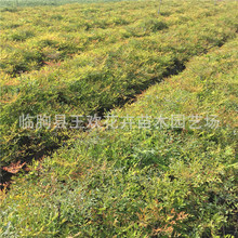 �������l������ ɽ�|���ݻ������l���������� ��������t��������