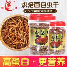 �S�����l����x�� ����}����� �^�p�~������Z�S���x��