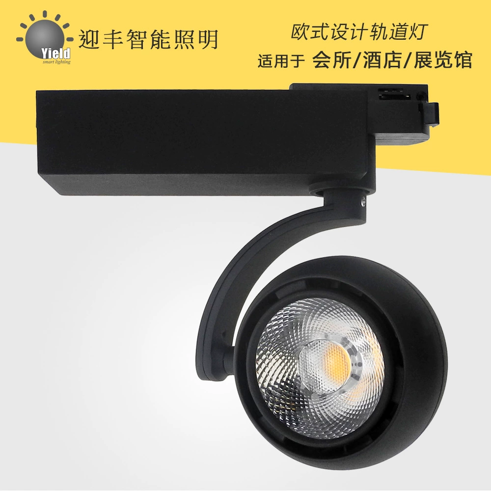 Elite mounted LED lights for hotel, spot lighting