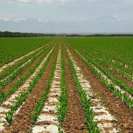 农用薄膜;包装薄膜;橡塑代理加盟