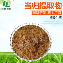 当归提取物 10:1当归粉 厂家供应 当归根萃取 1KG起订 量大优惠