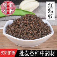 中药材批发零售 红蚂蚁 黑蚂蚁 黄蚂蚁干净无杂虫类大全 一件代发