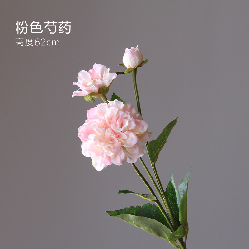 Moderno Rosa mirístico cerámica artesanía florero decoración de escritorio creativo simple hogar suave