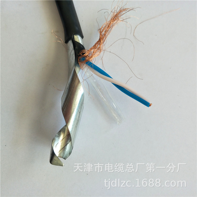 ZR-DJYVP22 2*2*1.0阻燃铠装计算机电缆-生产厂家