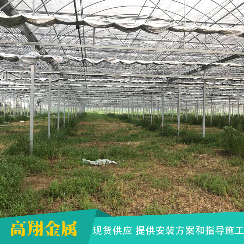 花卉大棚 各地安装温室大棚 连栋温室大棚 专业供应智能连栋温室