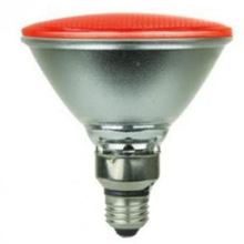 ��ó���� LED ��ɫ��ˮPar38 15W ����IP65 ������̵��� 85-265V