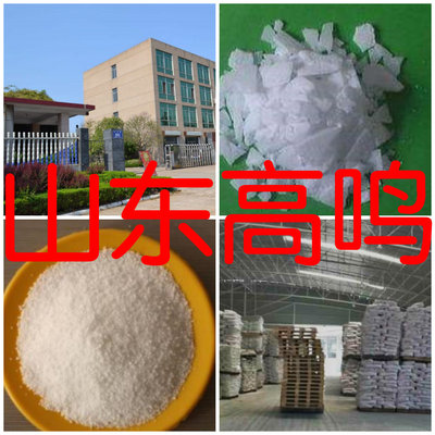 四氯苯醌 直接电话品种齐全全国发货微信1分钟之内回复闪发货上海|ms