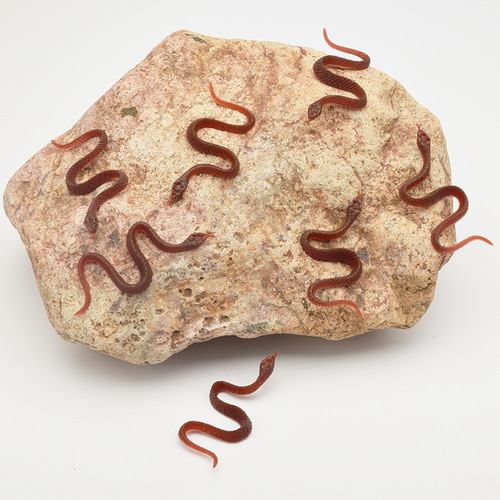 Simulated Cockroach April Fool's Day Toy Fake Cockroach Scorpion Gecko Fly Bug Scary Xiaoqiang Crawling Insect Wholesale