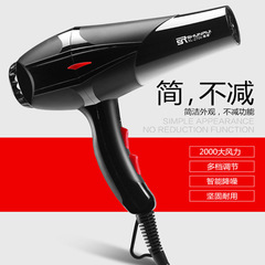 Shunrui Electric Hair Dryer Home High Power Salon Hair Styling Salon Cold Hot Wind Student Dormitory Hair Dryer Damage-Free