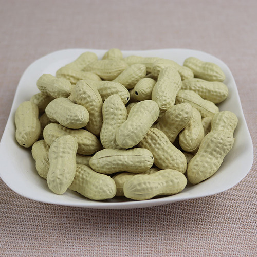 Wholesale of simulated fake dried fruits and vegetables Photography shooting background decoration Early education props model plastic peanuts