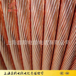 接地線硬裸銅絞線TJ70/95/185等-19年老店上海電纜廠家直銷紫銅線