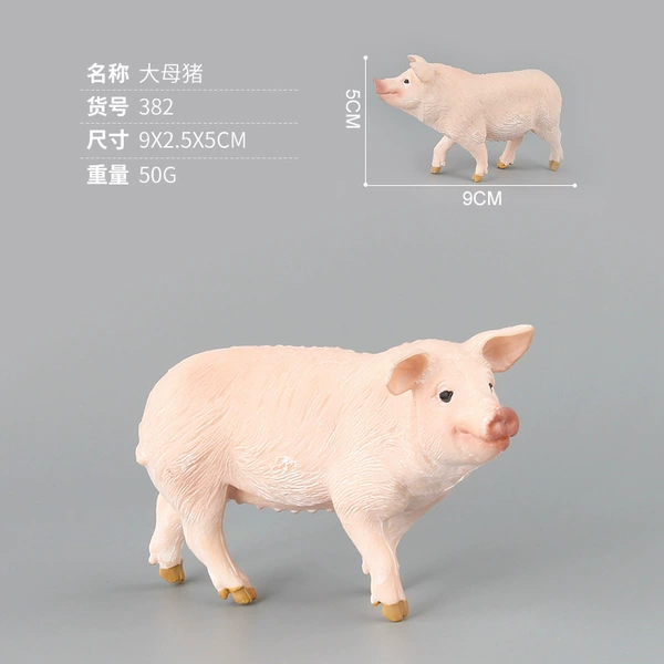 PL127-382 Large sow 50g