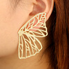 Metal earrings, Aliexpress, wish, suitable for import